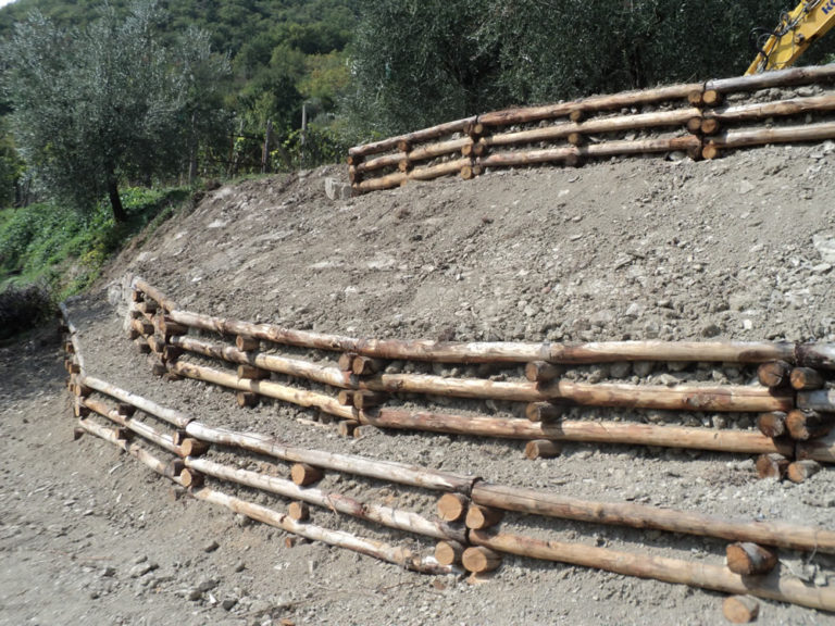 Ingegneria naturalistica ripristino frane