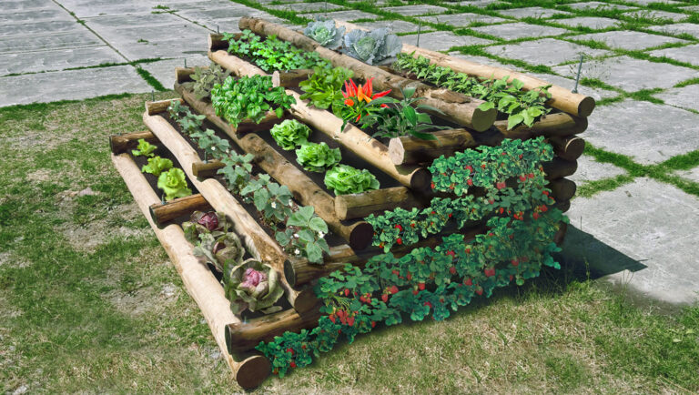 Orto giardino bio ingegneria per le abitazioni